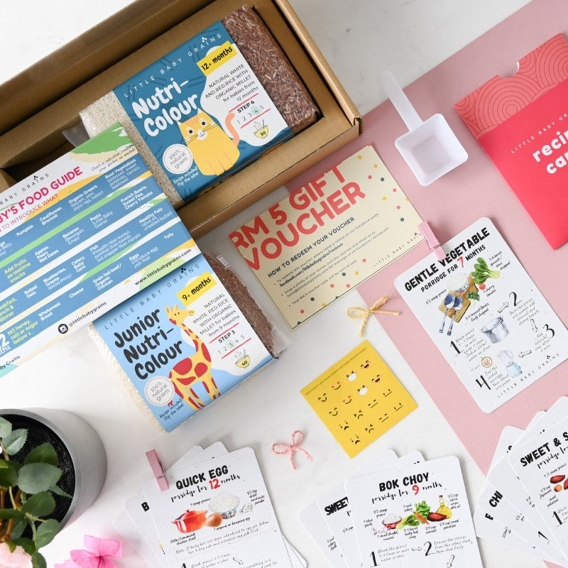 Gnubkins Starter Kit for Babies from 9 to 12 Months