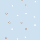 Comfy Baby Buckwheat Pillow